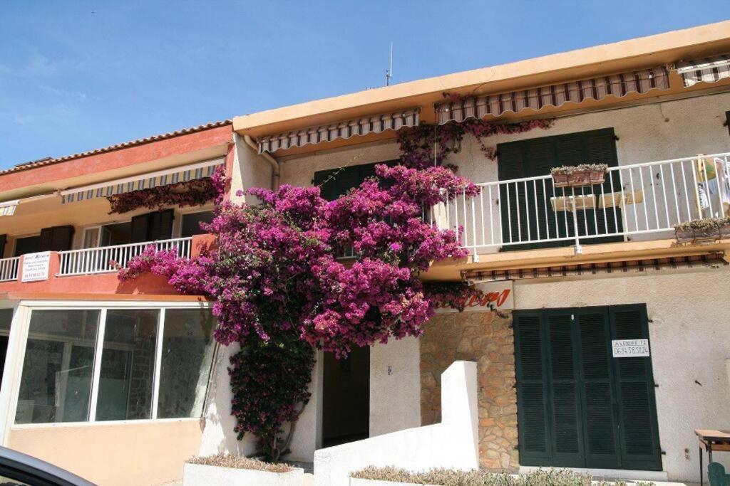 Appart Hyeres-Presqu'Ile De Giens-La Capte Экстерьер фото